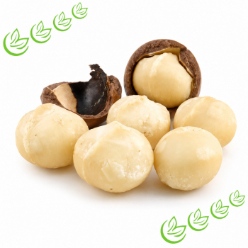 Macadamianussöl kaltgepresst BIO 3 l